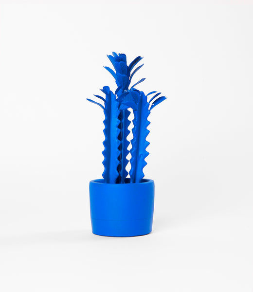 Blue Spray Painted Small Plant