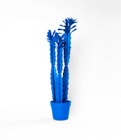 Blue Spray Painted Large Plant