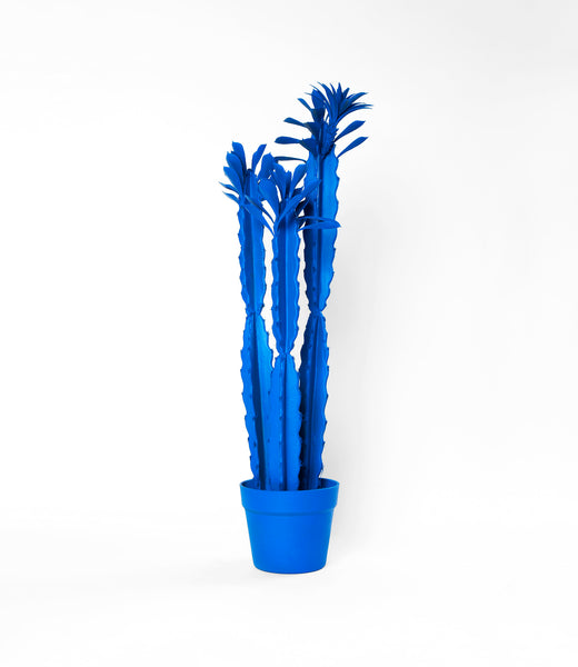 Blue Spray Painted Large Plant